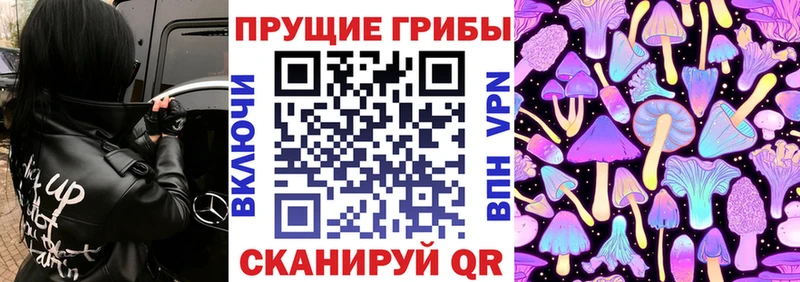 Купить закладки  Уржум  Псилоцибиновые грибы Psilocybine cubensis 